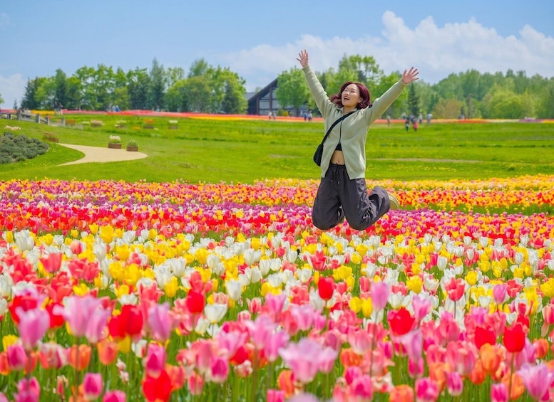 A person jumping in a field of colorful tulips with a park and trees in the background. 5