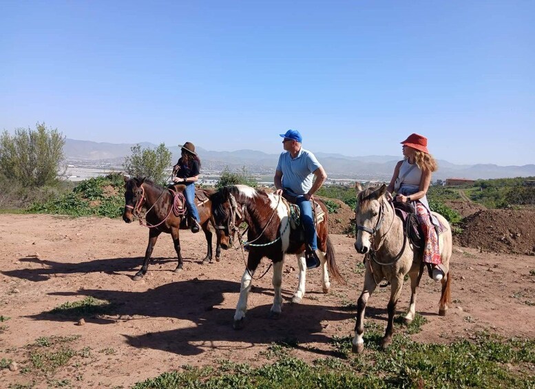 Picture 3 for Activity Ensenada: Combo Horseback Riding Tour with Scenic Views 2