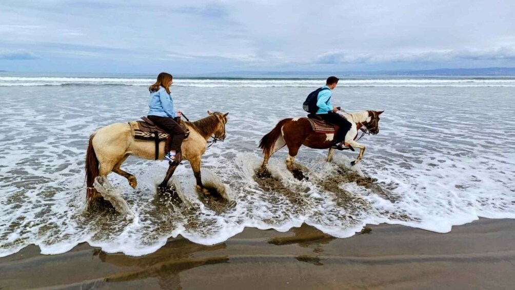 Ensenada: Combo Horseback Riding Tour with Scenic Views 1