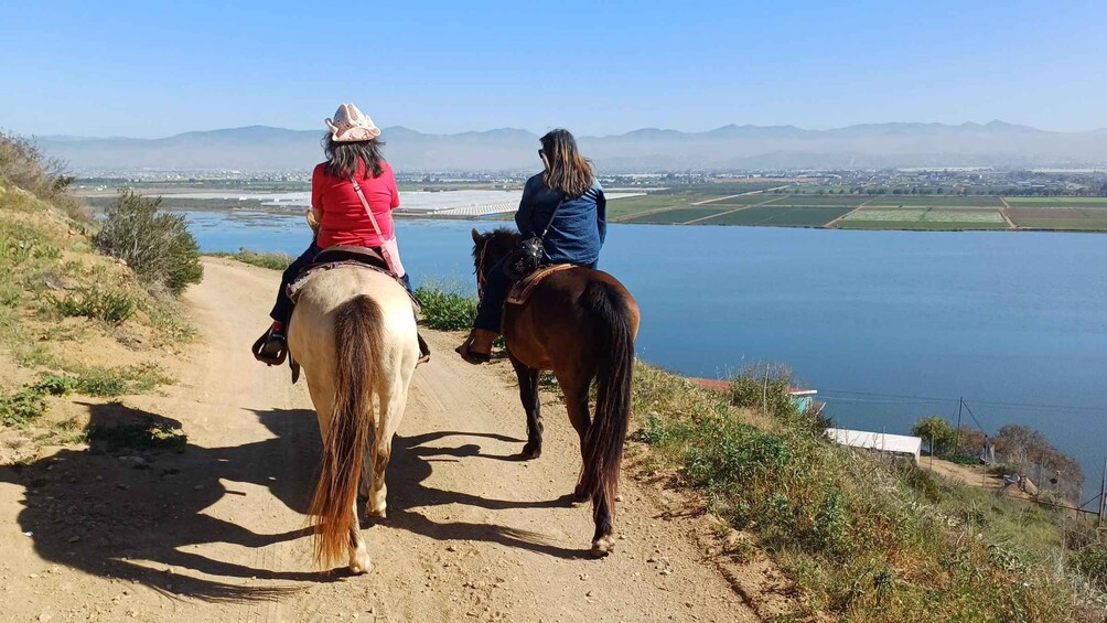 Picture 1 for Activity Ensenada: Combo Horseback Riding Tour with Scenic Views 3