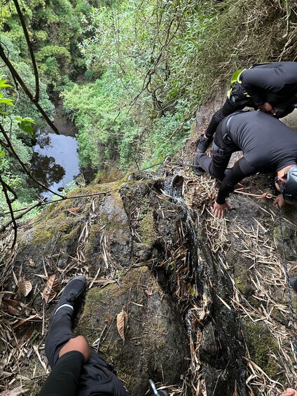 Eine Gruppe von Menschen klettert auf einen moosbewachsenen Felsen in bewaldeter Landschaft, im Hintergrund fließt ein Bach. 4