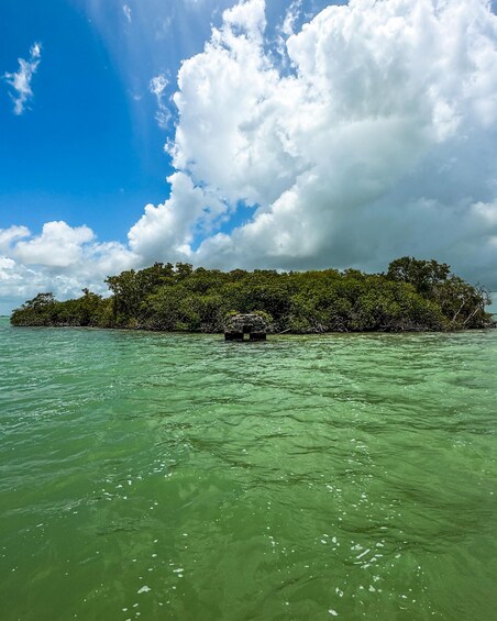 Sian Ka’an Private Oasis: A 3-Hour Secret Lagoon Odyssey 5