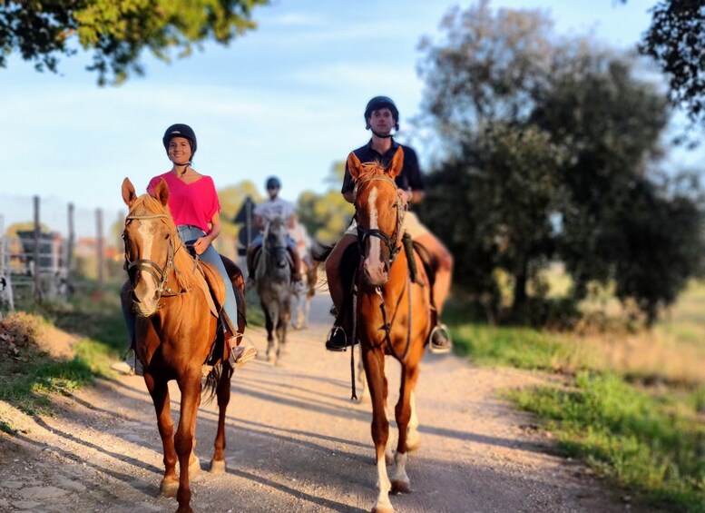 A group of people riding horses on a dirt road with trees and a fence in the background. 3