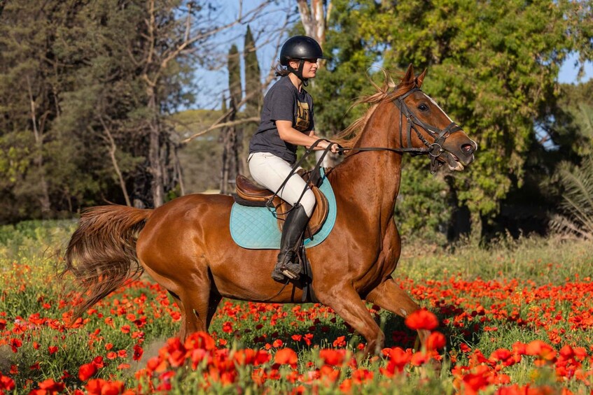 A person riding a horse through a field of red poppies. 5