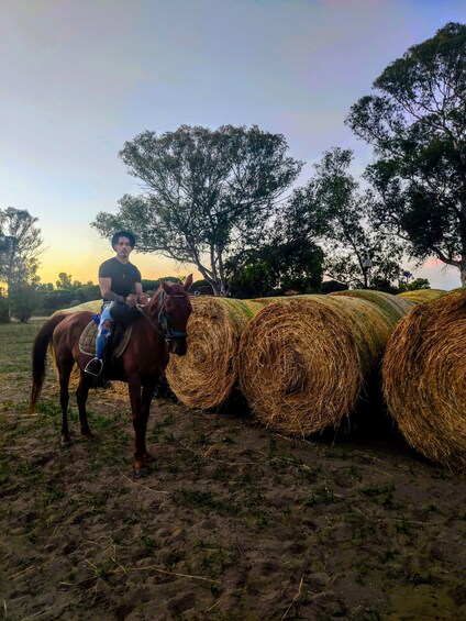 A person riding a horse in a field with hay bales. 4