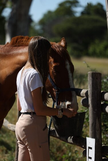 A person feeding a horse near a wooden fence. 4