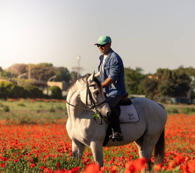 A person riding a horse in a field of red flowers. 1