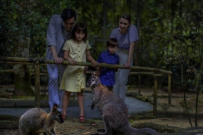 A family interacting with a leopard in a zoo enclosure. 4