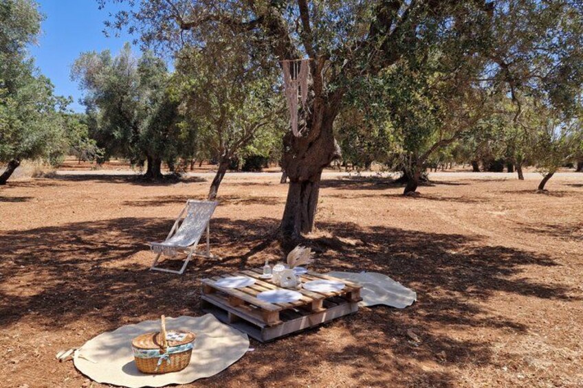 An outdoor picnic setup with a table, chairs, and a basket under a tree. 5