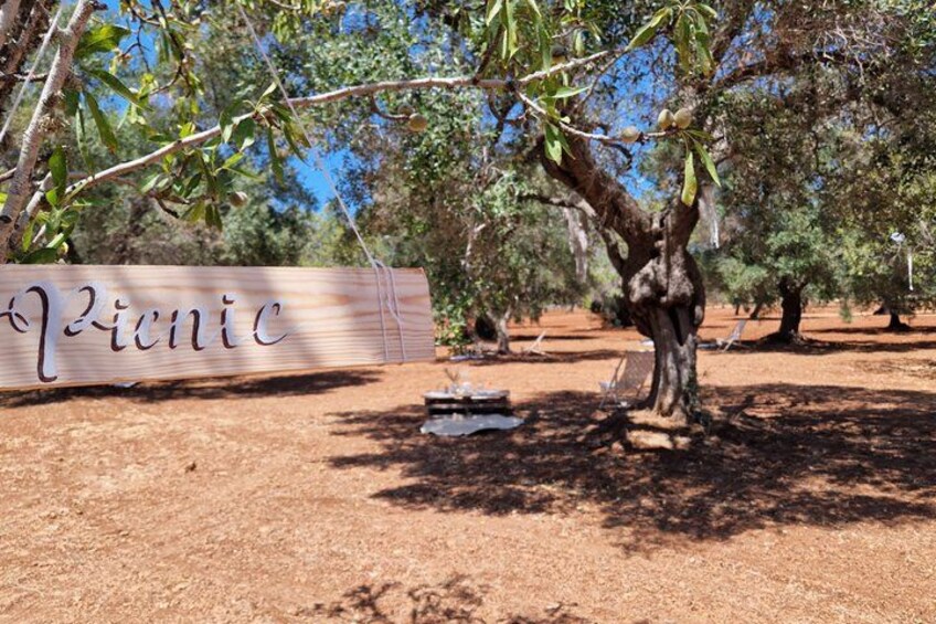 A picnic area with a wooden sign, olive trees, and a clear sky. 3