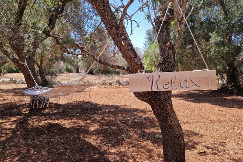 A hammock hanging from a tree, a wooden sign with the word 'Relax' on it, and a clear blue sky. 2