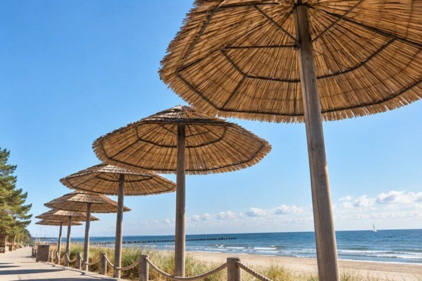 A beach with rows of thatched umbrellas and a clear blue sky. 4
