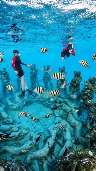Dos buzos rodeados por un banco de peces rayados en agua azul cristalina. 1