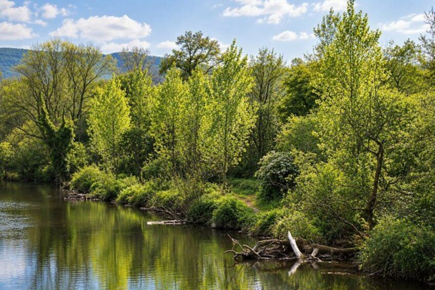A river surrounded by lush green trees and a clear sky. 4