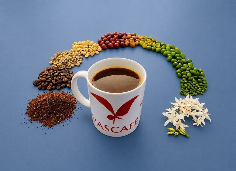 A coffee cup with a logo, surrounded by various coffee beans and spices on a blue background. 4