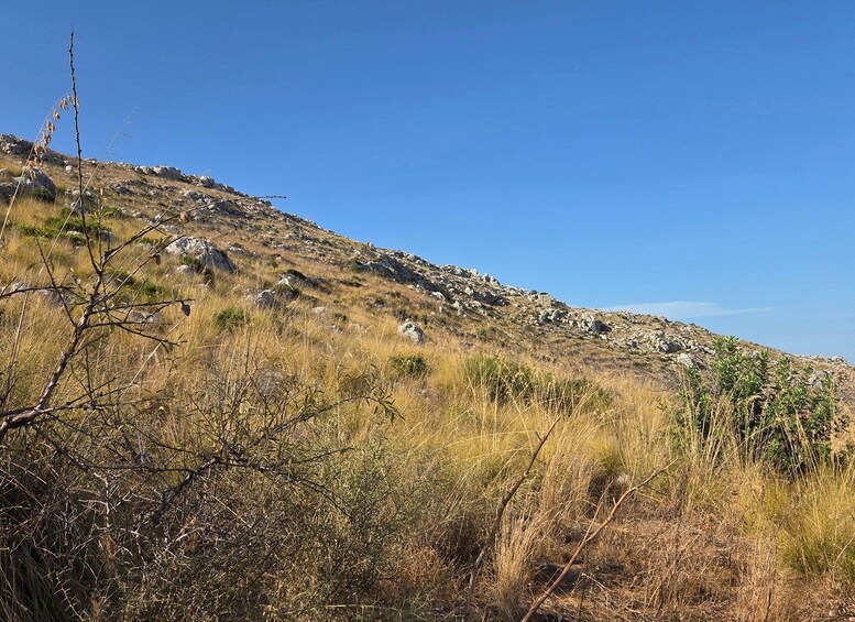 Un paisaje montañoso con poca vegetación y cielo azul despejado. 4