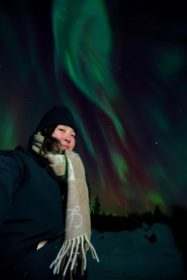 A person wearing a beanie and scarf, with the aurora borealis in the background. 3
