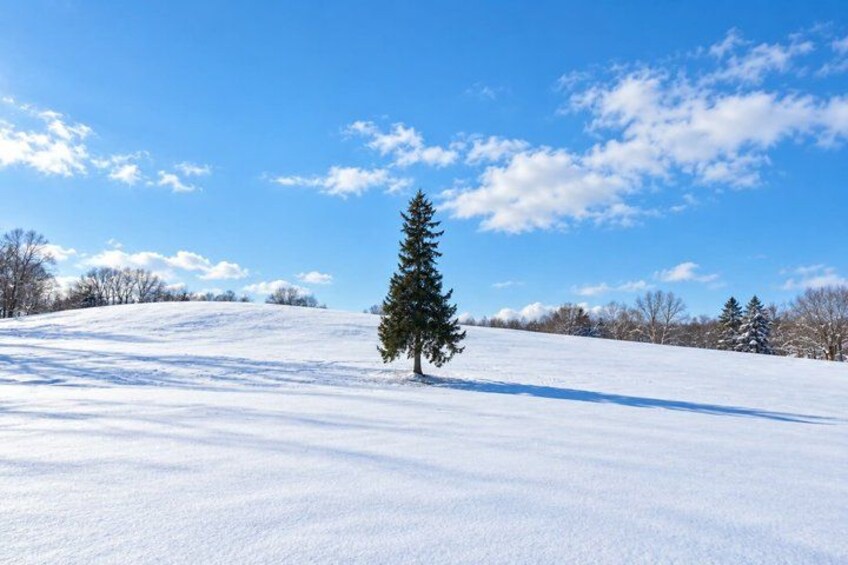 A snow-covered landscape with a single evergreen tree and a clear blue sky. 3
