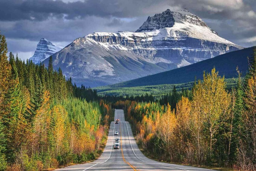 Una carretera bordeada por árboles de colores otoñales que conduce a una cadena montañosa. 3