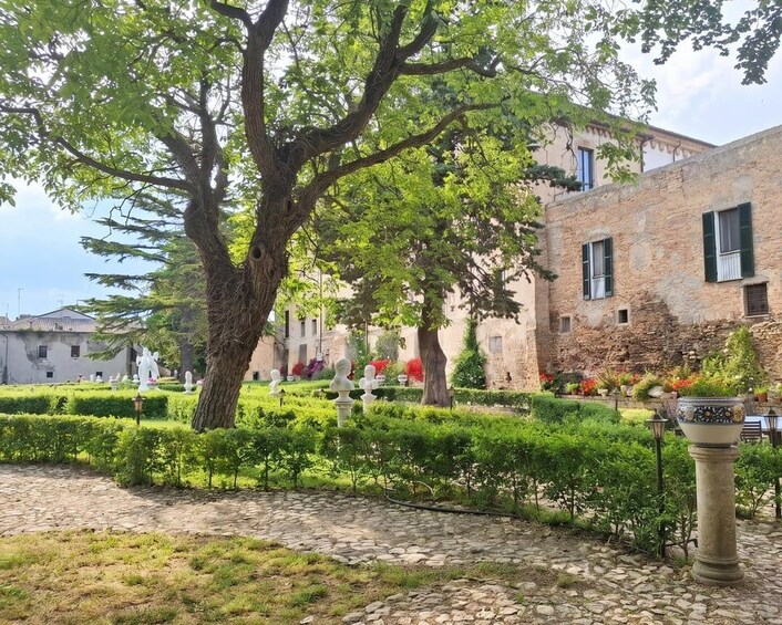 Un patio con un árbol grande, un sendero de piedra y un edificio con ventanas. 1