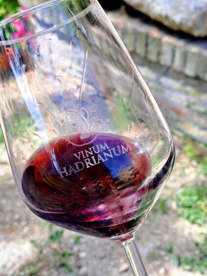 Una copa de vino con líquido rojo, posiblemente vino, y el texto 'VINUM HAEDRIUM' grabado en ella. 3
