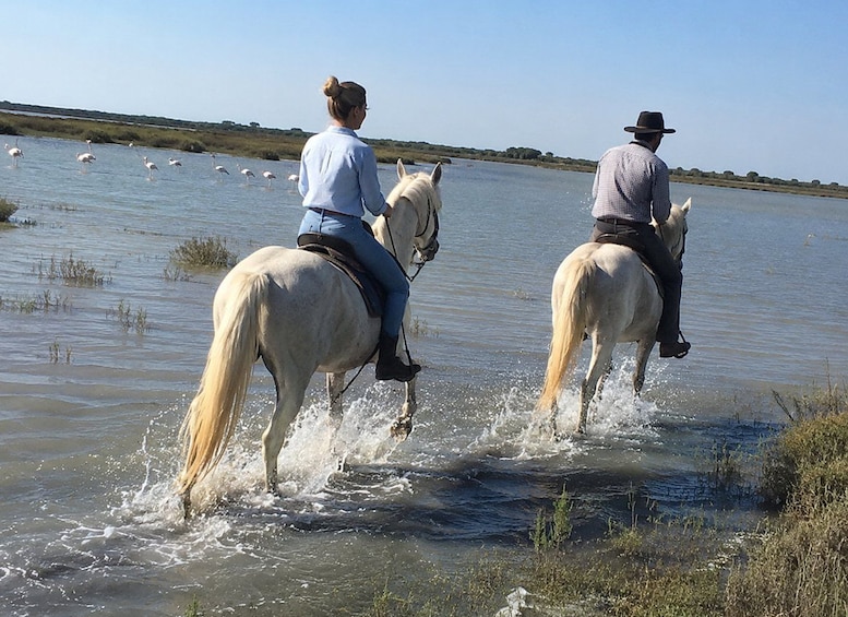 Dos personas montando a caballo por una masa de agua poco profunda, con aves de fondo. 3