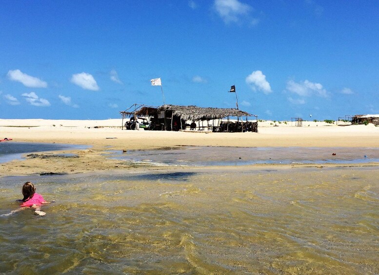 A beach with a thatched-roof hut and a flagpole with flags. 1