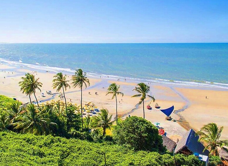 A beach with palm trees, a sandy shore, and the ocean. 5