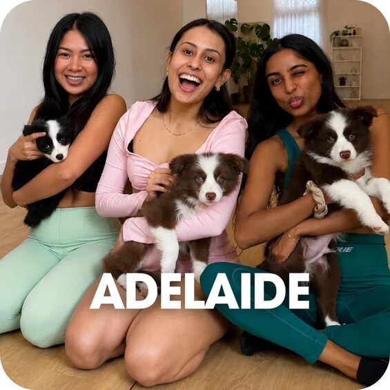 Three women holding puppies in a room with a plant and a shelf in the background. 1