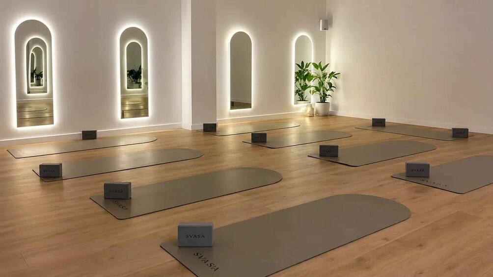 A yoga studio with wooden flooring, yoga mats, and a potted plant. 3