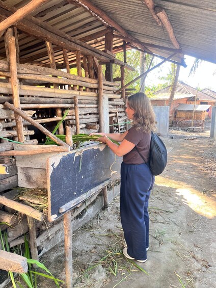 Una persona de pie frente a una construcción de madera rústica con techo inclinado, rodeada de pasto seco y suelo de tierra. 5