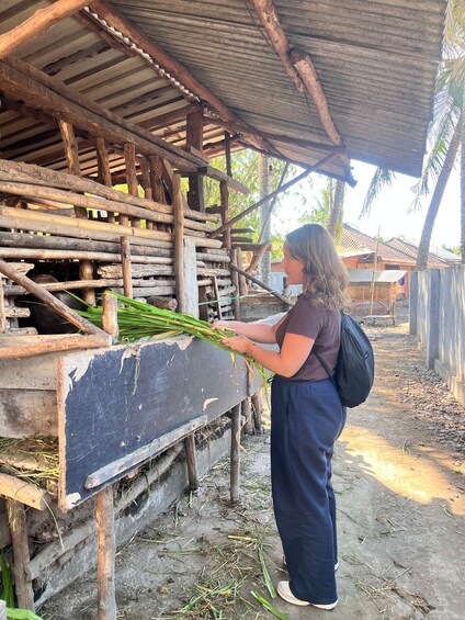 Una persona de pie bajo una estructura de madera, sosteniendo tallos verdes, en un entorno rural con un edificio al fondo. 2