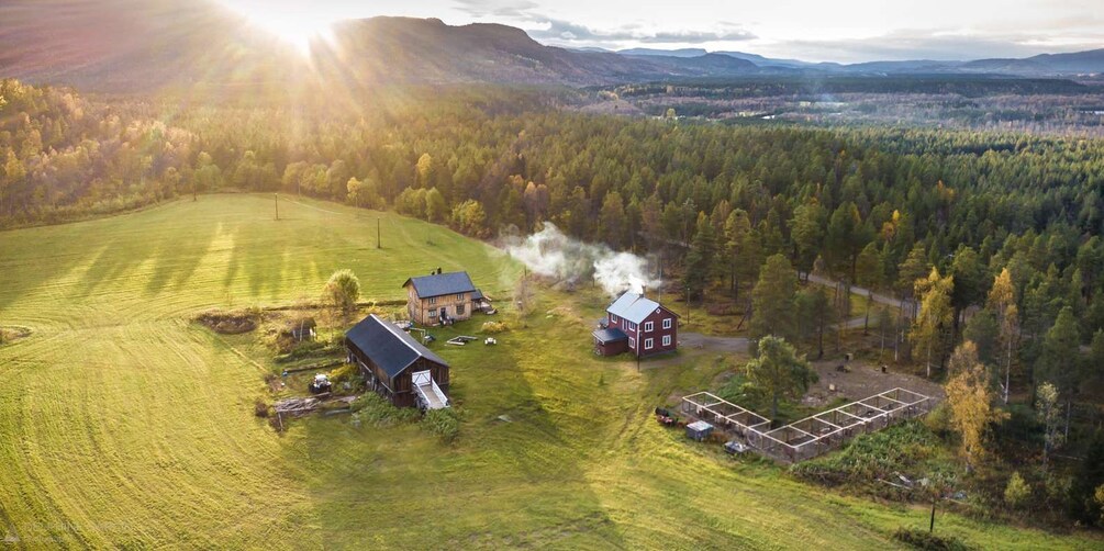 Picture 3 for Activity Private Husky Carting: Drive or Ride – 2h Drive from Tromsø 3