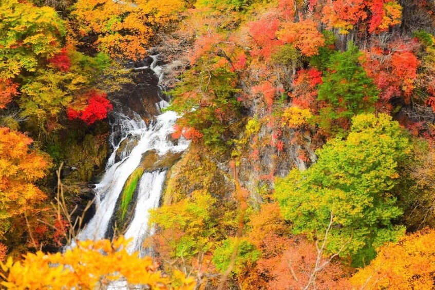Una cascada rodeada de follaje otoñal. 3