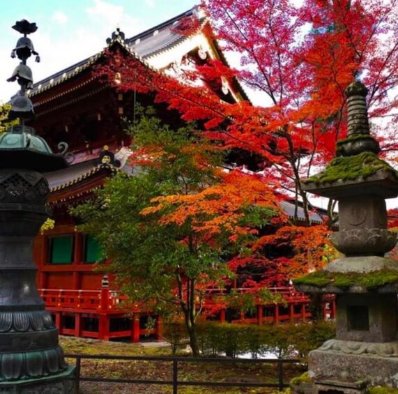 Un edificio japonés tradicional con follaje rojo y naranja, faroles de piedra y una pagoda. 4