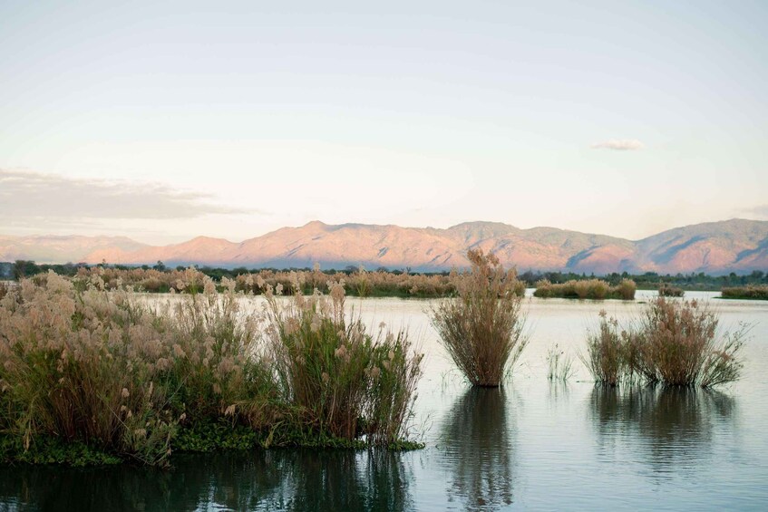 Un lago tranquilo con pastos altos y montañas al fondo. 5