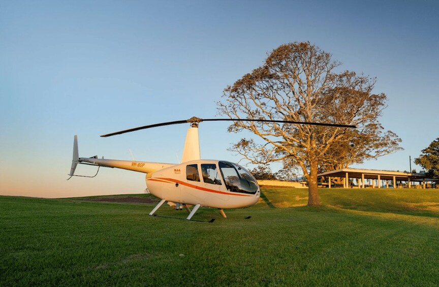 Un helicóptero estacionado sobre césped, con un árbol y un edificio al fondo. 3