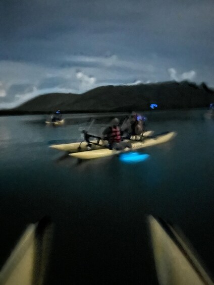 A group of people on a boat in a body of water with a mountain in the background. 4