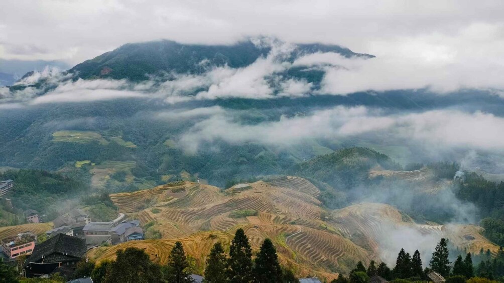 Terrazas de cultivo, una montaña y un valle cubierto de niebla. 3
