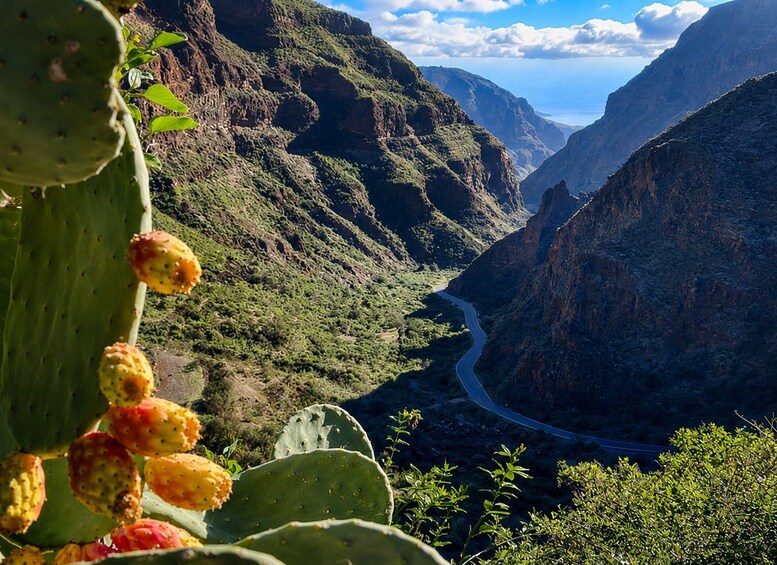Gran Canaria: Guayadeque Ravine Trekking and Canarian Food in Ingenio 1
