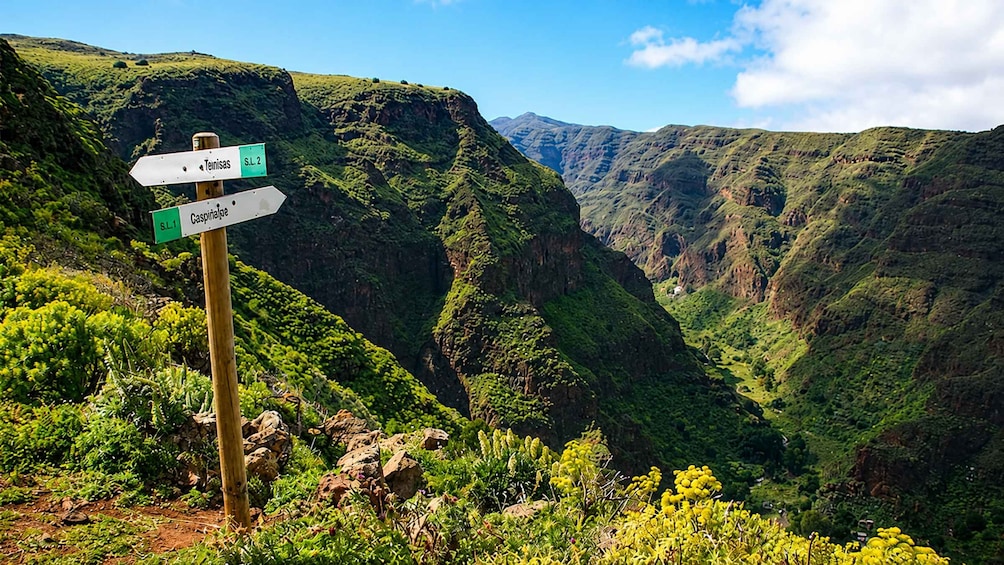Picture 2 for Activity Gran Canaria: Guayadeque Ravine Trekking and Canarian Food in Ingenio 3