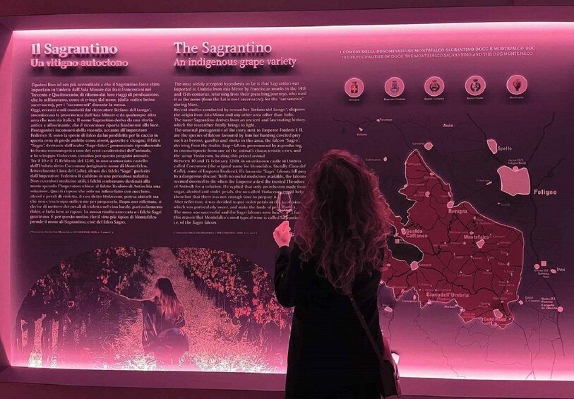 A person at an informational display about the Sagrantino grape variety. 4