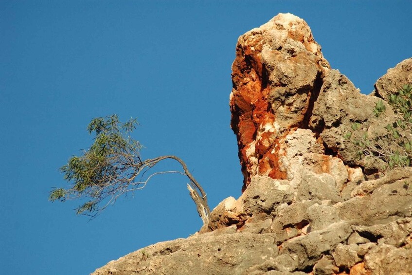 A rocky cliff with a tree on top. 2