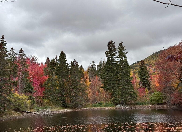 Picture 5 for Activity From Sydney: Cabot Trail & Baddeck Guided Tour 2