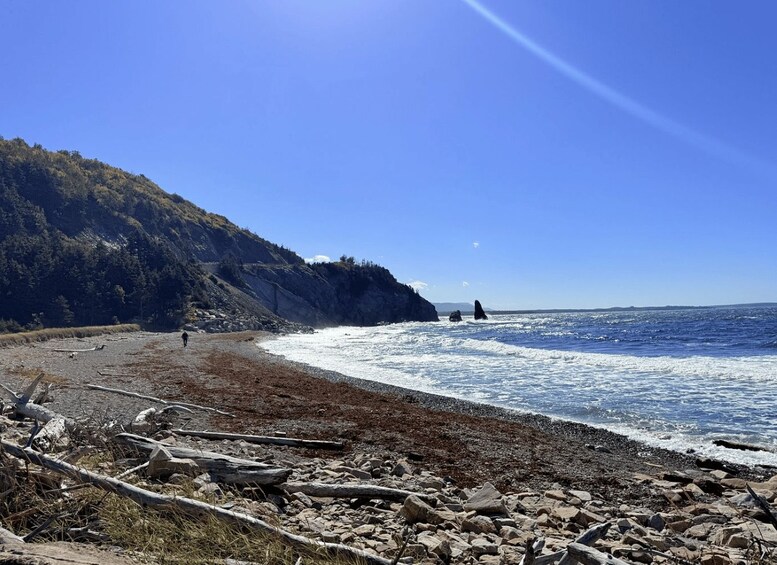 Picture 2 for Activity From Sydney: Cabot Trail & Baddeck Guided Tour 4