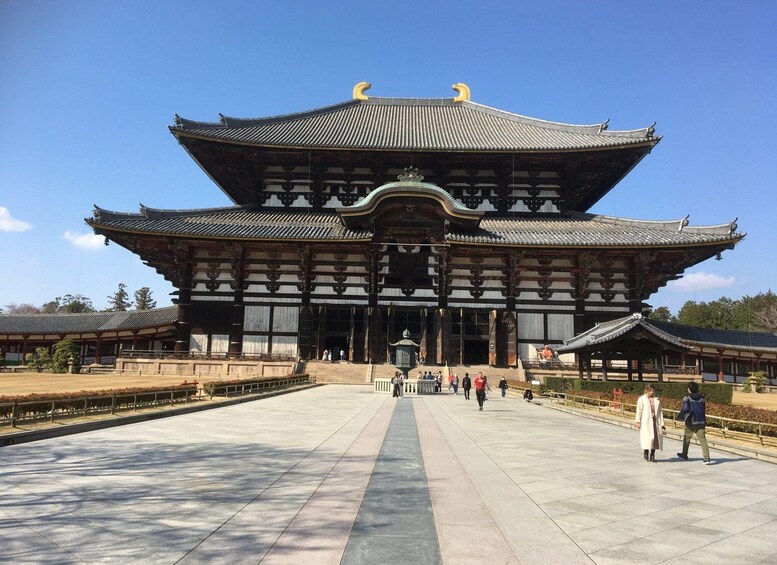 Picture 6 for Activity Nara Private Tour: Iconic Sights & Hidden Gems with a Local 2