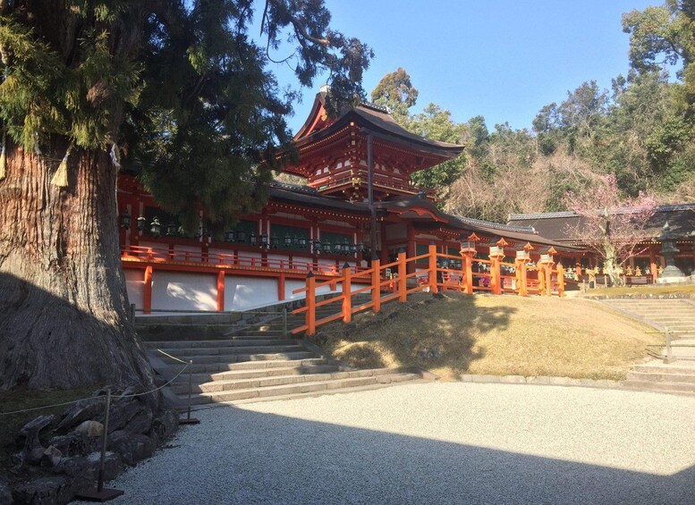 Picture 7 for Activity Nara Private Tour: Iconic Sights & Hidden Gems with a Local 3