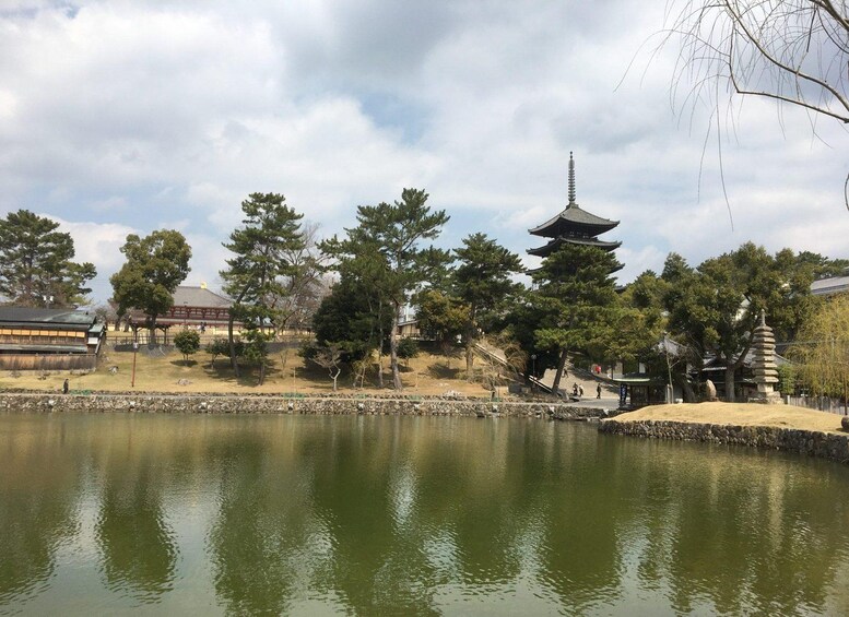 Picture 9 for Activity Nara Private Tour: Iconic Sights & Hidden Gems with a Local 4