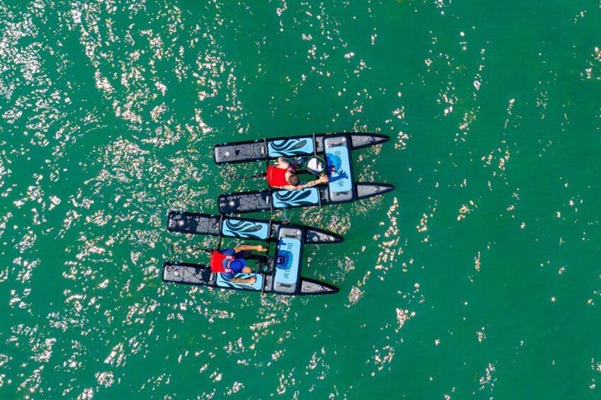 A group of canoes on a green body of water. 1