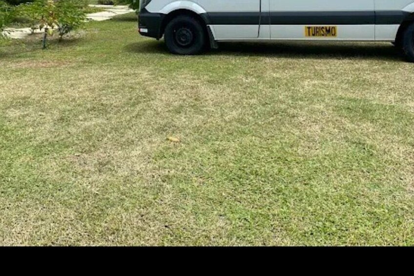 A vehicle with a 'TURISMO' label parked on a grassy area. 3